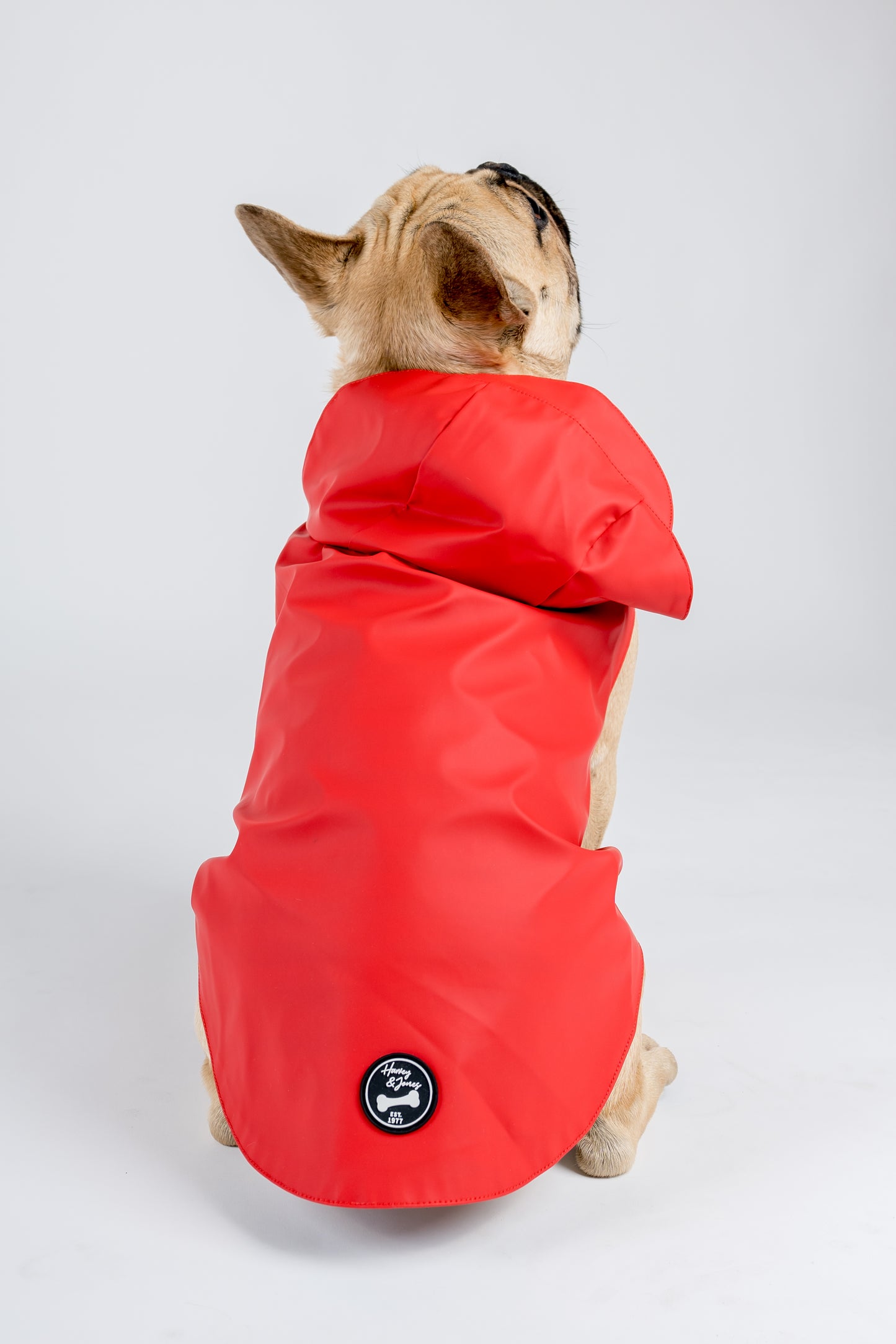 Anderson Dog Coat