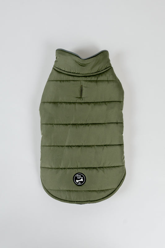 Polly Dog Coat